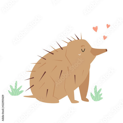A Cute echidna. Australian animal character design