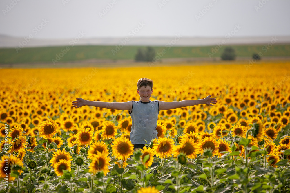 boy in sunflowers summer teen yellow green field