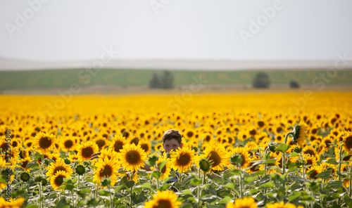 boy in sunflowers summer teen yellow green field