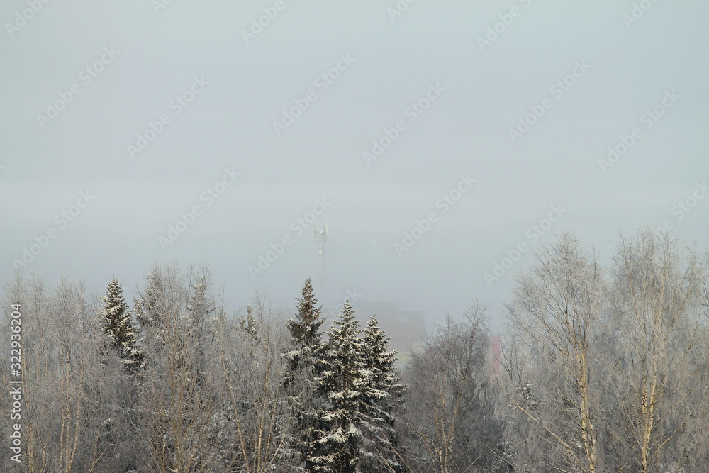 Winter snowy forest on gray cloudy sky background