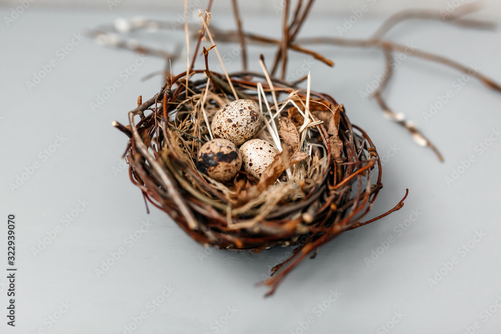 Easter eggs in a nest with willow twigs on a gray background. Chicken and quail eggs Catholic and Orthodox holiday