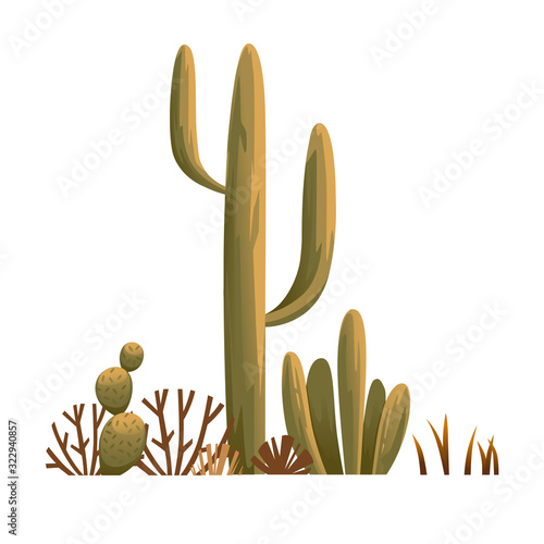 Group of desert plants cactus thorns and weeds flat vector illustration on white background