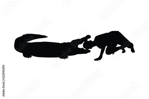 Man in crocodile show silhouette vector