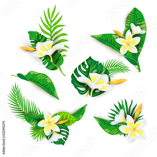 Tropical exotic leaves and plumeria flowers with shadows isolated on white background. Design element for poster, web, flyers, invitation, postcard, SPA, sticker, wedding. Vector illustration set. photo