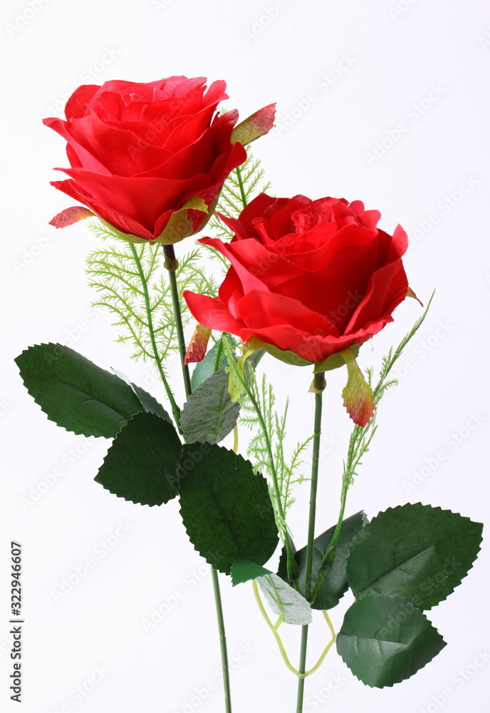 Obraz premium Red rose isolated on white background