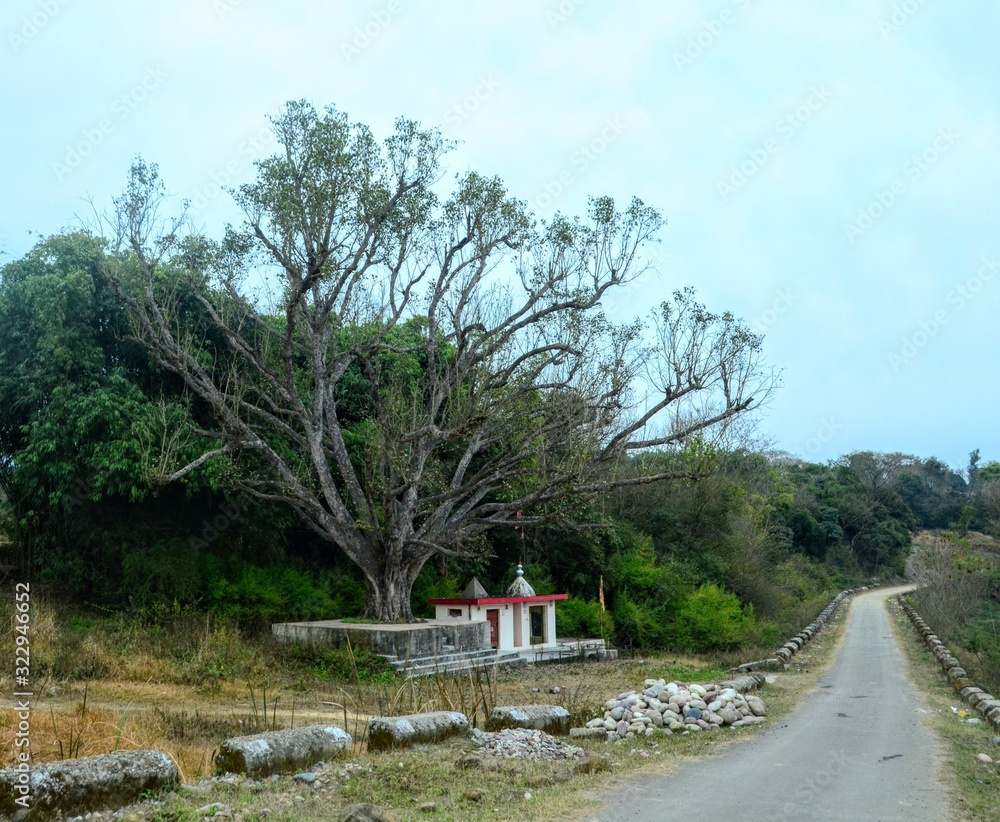 A Road Side Temple in Himachal Pradesh India A Road Side Temple in Himachal Pradesh India