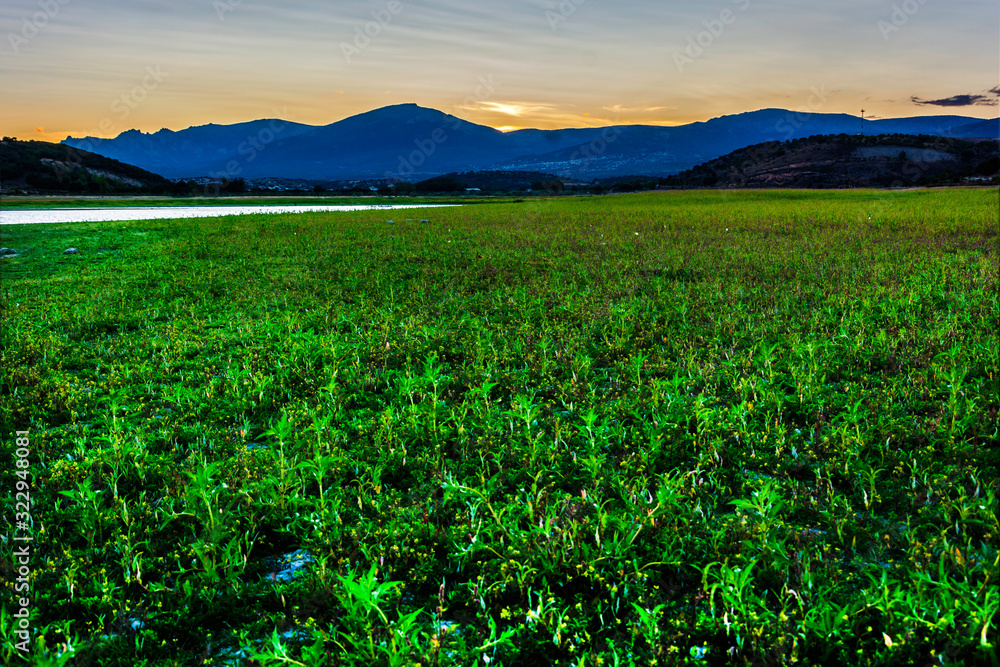 Fototapeta premium Puesta de sol en el pantano