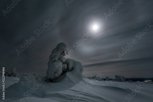 Moonlight halo against a snowy tree