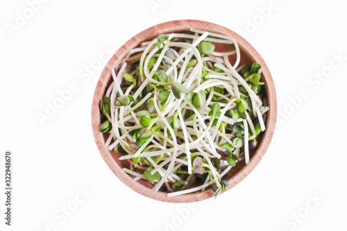 sprouts of radish microgreen