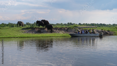 Photography Tourists in a boat watching elephants