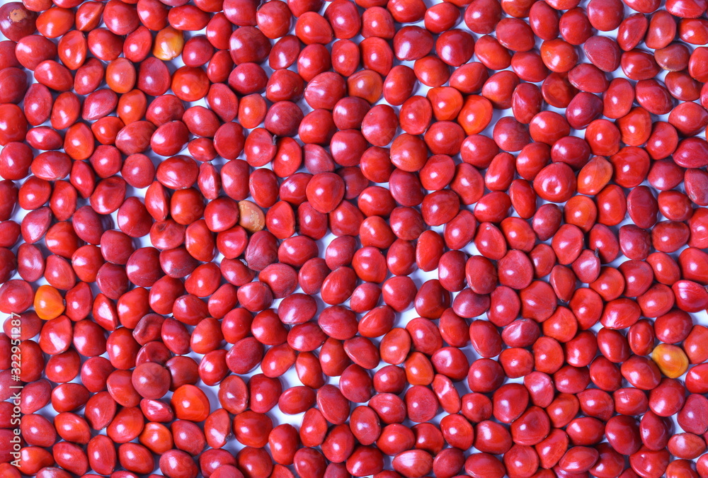 Small red beans on white background Small red beans on white background