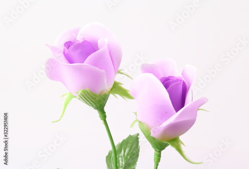 Artificial violet roses on white background