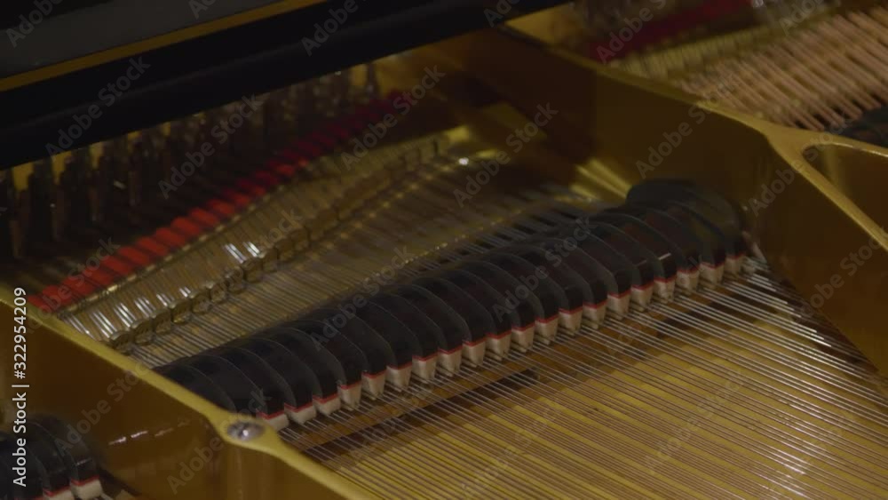 View of pressed pedal inside piano. View of pressed pedal inside piano.