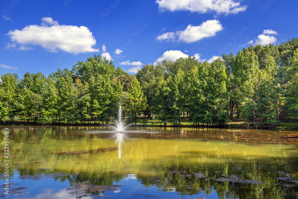 Fototapeta premium Summer Fountain