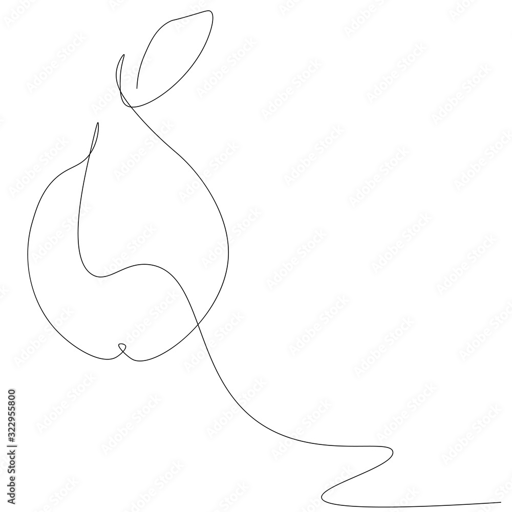 Pear fruit on white background vector illustration Pear fruit on white background vector illustration