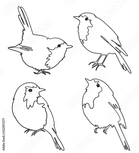 Set of four robin birds, freehand outline vector