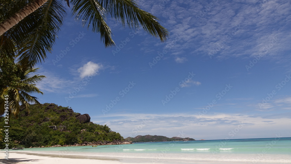 A postcard shot of a tropical secluded beach with palm trees and mountains