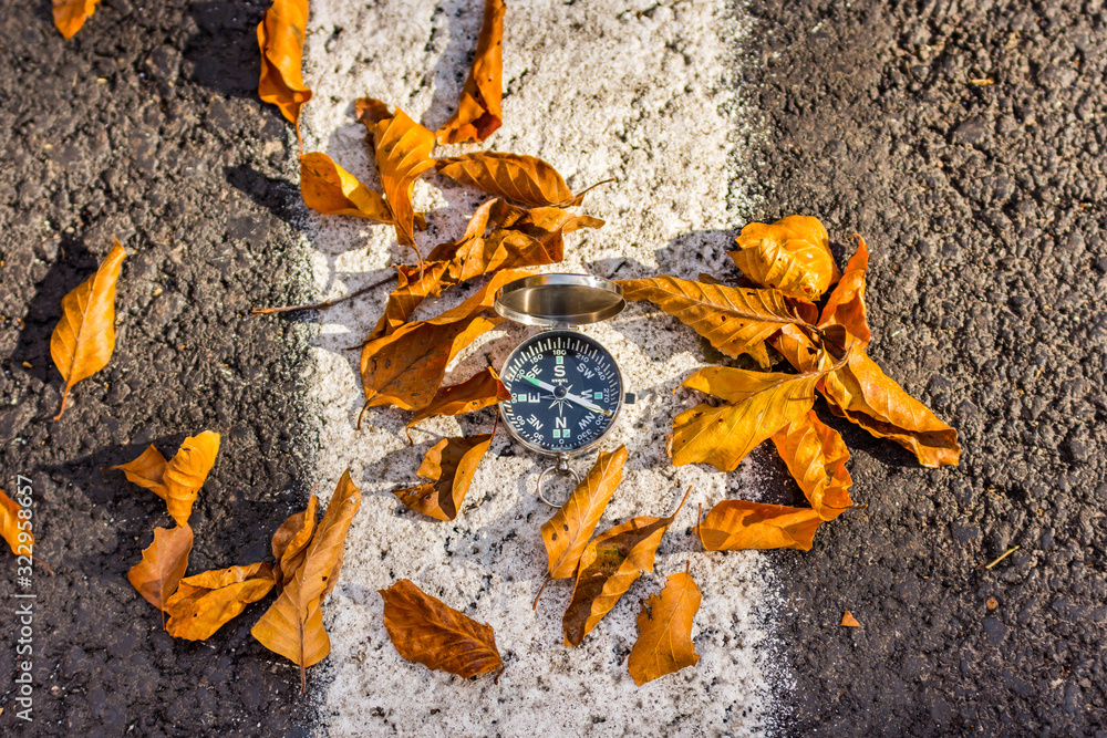 Conceptual autumn landscape with a metallic compass with fallen leaves, Sfanta Ana, Romania Conceptual autumn landscape with a metallic compass with fallen leaves, Sfanta Ana, Romania