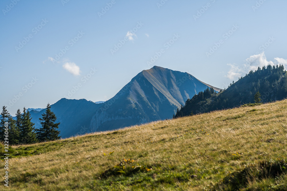 Fototapeta premium Beautiful swiss alps mountains. Alpine meadows.