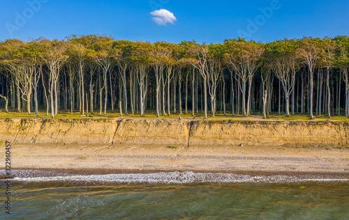 Gespensterwald Nienhagen photo