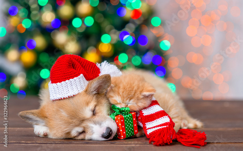 Pembroke welsh corgi puppy wearing a red santa hat sleeps with baby kitten and gift box on festive Christmas background