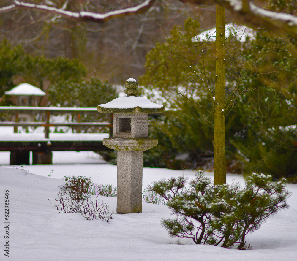 winter landscape evergreens in a Japanese garden winter landscape evergreens in a Japanese garden