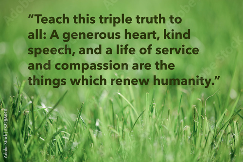 Wise quote by the Buddha against original nature background. Original image also available.