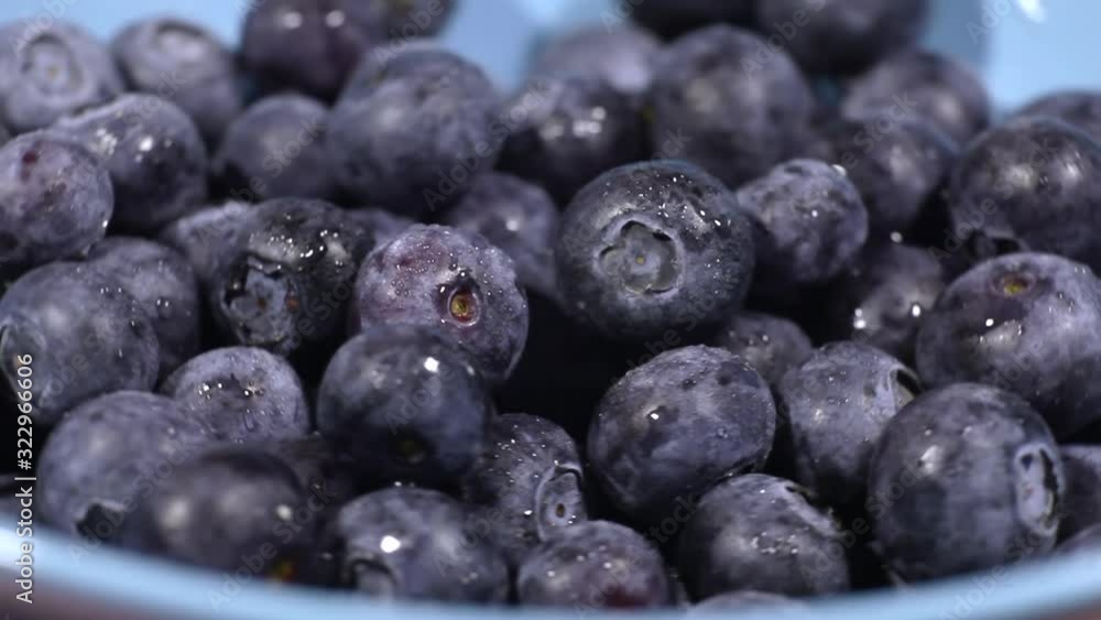 Fresh blueberries with drops of water revolve in a circle on a pink background. Fresh Blueberries rotation. Fresh blueberries with drops of water revolve in a circle on a pink background. Fresh Blueberries rotation.