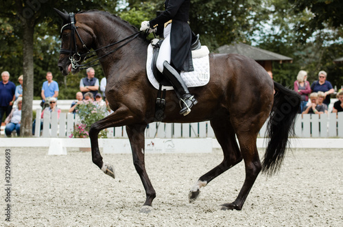 Pferd in der Passage / Piaffe auf einem Turnier in der Dressur auf Kandare photo