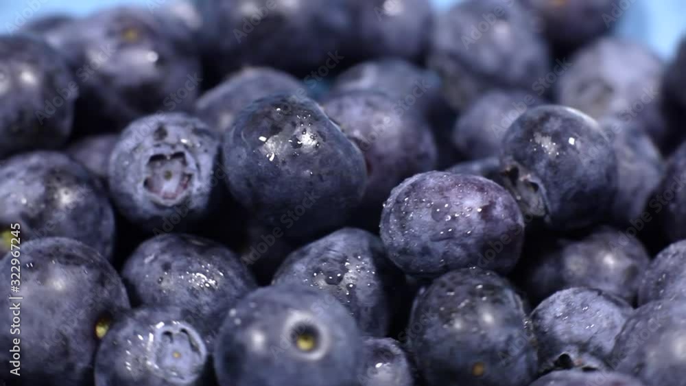 Fresh blueberries with drops of water revolve in a circle on a pink background. Fresh Blueberries rotation. Fresh blueberries with drops of water revolve in a circle on a pink background. Fresh Blueberries rotation.