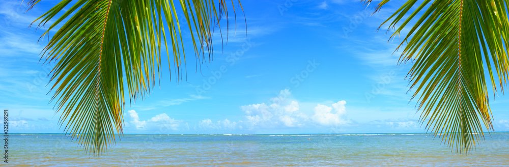 Fototapeta premium Palm tree branch and Caribbean sea . Travel background.