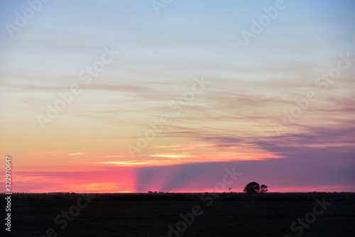 Pampas sunset landscape, La pampa, Argentina © foto4440