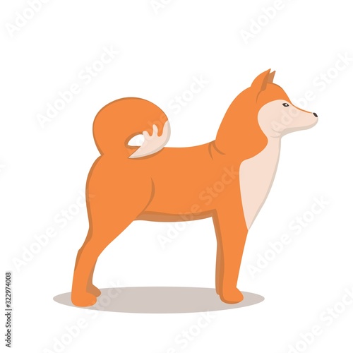 Shiba inu dog. Japanese breed. Dog in a flat style.