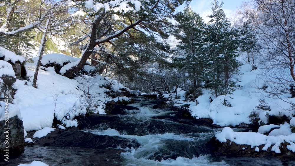 winter scene/landscape of a waterfall in the cairngorms national park during winter with fallen snow on river bank and surrounding birch and pine trees. winter scene/landscape of a waterfall in the cairngorms national park during winter with fallen snow on river bank and surrounding birch and pine trees.