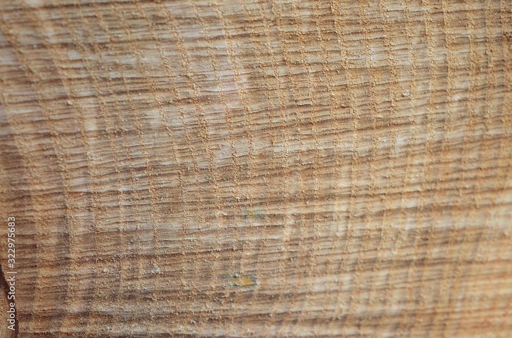 Texture of cut wood close-up. Texture of cut wood close-up.