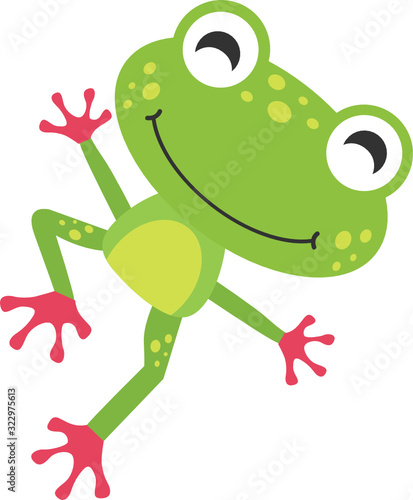 Red Toed Frog