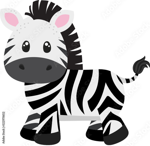 Jungle Animal Zebra