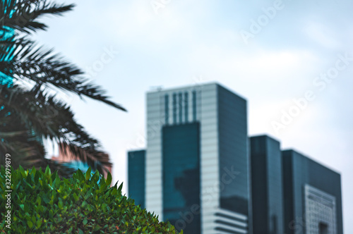 View at palms and high rise buildings © 22Imagesstudio