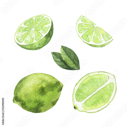watercolor Limes on white background. hand drawn isolated illustration