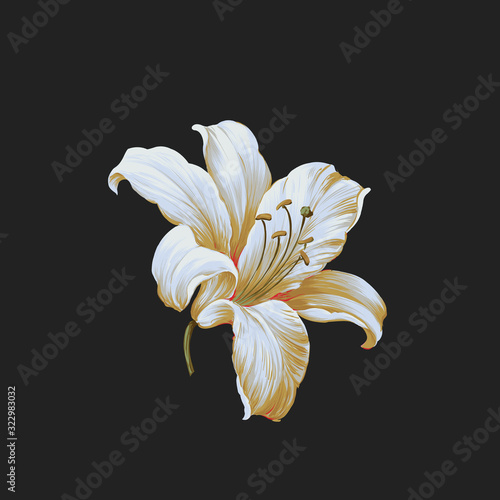 Colorful flower on dark background,Flowers watercolor illustration,leaves and floral，Design for textile, wallpapers