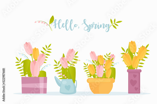 Hello spring flat vector greeting card template. Garden flowers in creative color pots on white background. Tulips twigs and plant branch branches with leaves. Botanical elements with typography.