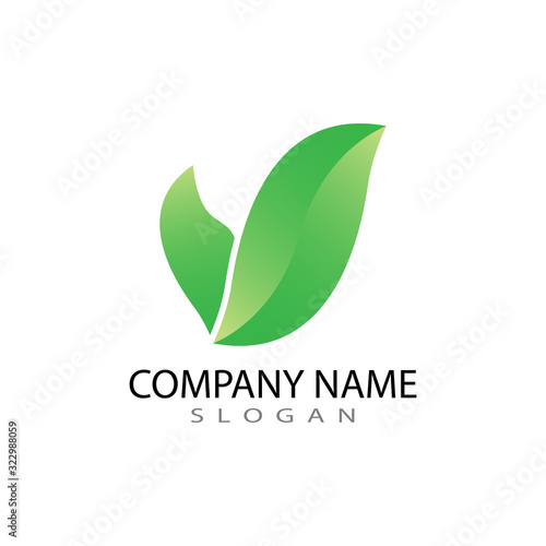 green leaf ecology nature element