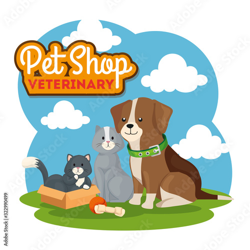 pet shop veterinary with cute cats and dog vector illustration design