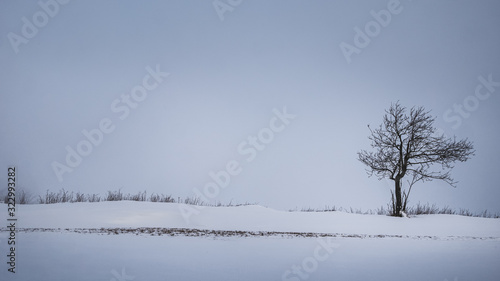 A lone tree standing on a hill surrounded by snow and dark clouds in the sky.