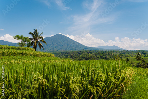 Beautiful landscape of Jatiluwih rice terraces with the view on the volcano mountain in Bali, Indonesia