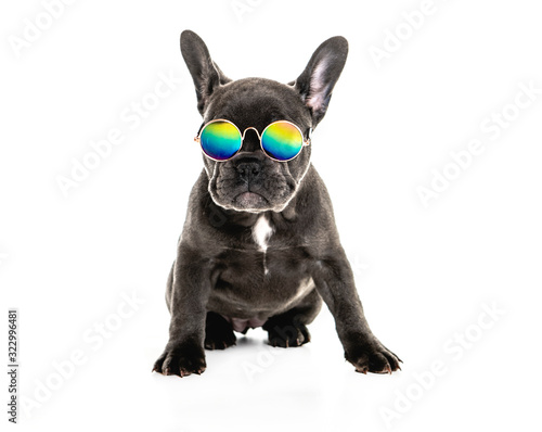 Fototapeta Naklejka Na Ścianę i Meble -  Black French bulldog puppy over a white background with funny glasses