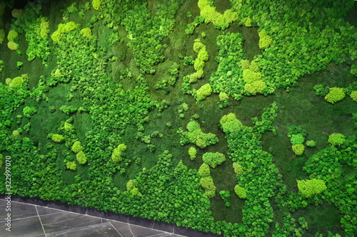 green moss wall in the lobby of a modern office