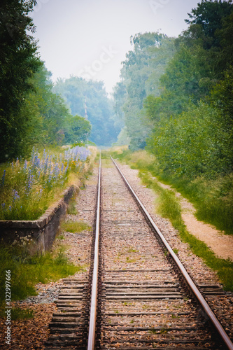 Railroad tracks in a forest like enviroment