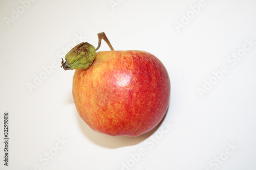 Apple with a small apple on a branch on a white background