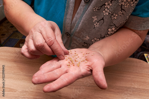 Seeds of plants and flowers on a woman's hand. Seeds prepared for planting in the ground. Seeds of tomato and pepper close up.